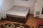 Teren cu casa de vanzare - 6