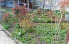 CASA 3 CAMERE SI CURTE - GIULESTI STRADA ARTARULUI - TEREN 296 MP - 8