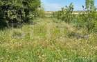 Casa de vanzare, 130 mp, zona Central - Ocna Mures - 10