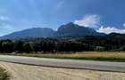 Oportunitate investitie resort/complex /pensiune ,Plaiul Foii Zarnesti - 6