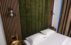 Apartament tip studio de inchiriat pe bulevard dem radulescu - 8