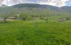 Teren 4,245mp Sirnea Judetul Brasov - 7