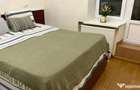 Apartament cu 2 camere de inchiriat in zona Teiul Doamnei - 4