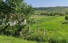 Teren de vanzare Merghindeal, judetul Sibiu - 5