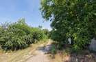 Vanzare teren intravilan 3800 mp, DN Bucuresti-Urziceni - 2