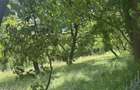 Vand teren intravilan 2.012 mp, Boteni, Arges - 1