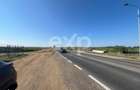 Teren intravilan premium 15.000 mp la DN61 langa Centura Gaesti acces - 5