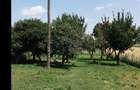 Casa de vanzare in municipiul Baile?ti! - 6