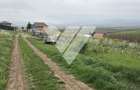 Investitie - Teren intravilan 536 mp Sura Mare ideal constructii - 3