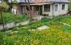 VANZARE CASA cu teren total 3.096 mp Boianu Mare, Bihor - 3