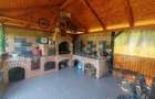 Casa spatioasa de vanzare 140 mp utili, teren 11 ari, Hantesti - 1