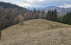 Teren intravilan construibil Brasov Bran  Poarta utilitati vedere spre munti - 8