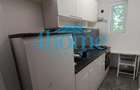 Studio |ParkLake|IOR|Dristor|Bloc Nou|Parcare - 5