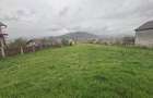 Teren intravilan, in Vetel, loc de casa, schimb cu apartament - 5