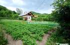 Casa cu teren generos - 4696 mp Apa Sarata - Campulung !! - Campulung (Arges) - 14