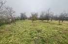 Se Vinde Casa Bunicilor, Jud. Arges, Comuna Cotmeana, Sat Pielesti - 6