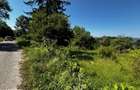 Teren doua loturi 3100/14 mp. - 2800/12 mp. Daesti - Valcea - 10