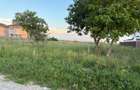 Teren intravilan 1.500 mp de vanzare Strada Castanului, Tunari - 2