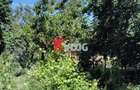 OCAZIE !!!! SE VINDE URGENT CASA- ZONA LUNEI-128.000 euro - 19