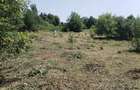 Teren de vanzare com. Aiton - 3