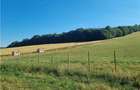 De vanzare teren intravilan 3.1 Ha, Sancraul De Mures, Mures - 3