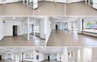 Spatiu Comercial Ultra Central Bucuresti - Piata Unirii (Propietar) - 3