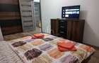 Apartament mobilat si utilat, Cartier Maurer Residence - 2