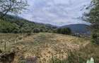 Teren intravilan pentru investitie turistica, 4000 mp, langa Club Vila Bran cu p - 4