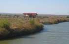 Teren De Vanzare Lacul Sinoe, Istria, Constanta 68000 mp, - 7