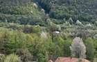 Casa la munte cu parau in curte,in localitatea Nojag.la 18 km.de DEVA - 7
