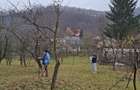Vanzare teren Breaza - 4