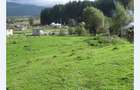 Vand teren intravilan 2121 mp, in Jud. Arges-Nucsoara - 3