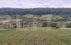 Teren intravilan de vanzare in Bozeni 1.500 m2 | Idea - 5