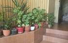 De vanzare apartament 2 camere decomandat | Zona 8 Mai - 5