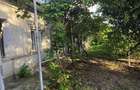 Casa cu potential, 4 camere, langa padure-Jud Giurgiu-Mihai Bravu. - 6