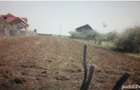 Teren 2078 mp intravilan Slatina Milcov Deal, Strada Livezi - 6