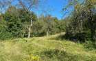 TEREN DE VANZARE INTRAVILAN  2.500MP | VISINESTI I DEALURILE SULTANULUI I - 5