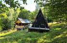 2 cabane A-Frame de vanzare, 2.700 mp, Gura Siriului