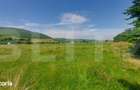 Casa + teren intravil, 3.6 ha I Zagon I Potential turistic si investit - 5