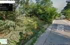 Proprietar, vand 10.000 mp teren intravilan Mosoaia Hintesti Arges