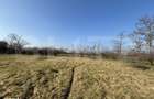 Teren intravilan, 500 mp, zona Beregsau Mare - 2