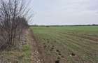 Teren intravilan ieftin Balotesti, 1100 mp, 25000 euro - 2
