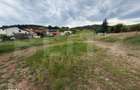 Teren intravilan 3.624 mp, zona Micesti - 1