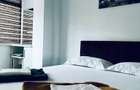 Apartament 2 camere Ostroveni - 8