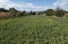 Teren intravilan de vanzare, 3600 mp, apa - 4