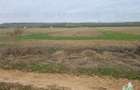Teren 7500mp in liziera padurii in Dragomiresti-Deal - 1