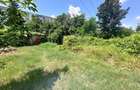 Teren intravilan de vanzare Bacau - 6