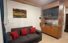 Studio modern - zona UMF - Ideal pentru studenti/medici - 5