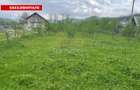 Teren Intravilan 12500 mp Drajna de Sus - Teisani. - 1