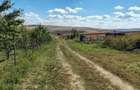 0% Comision! Teren intravilan, 1500 mp, frt 17 m,  la intrare in Rediu